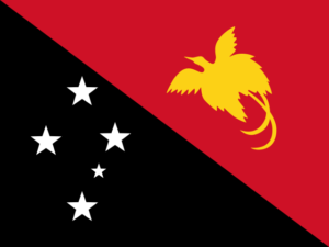 Flag_of_Papua_New_Guinea.svg-300x225